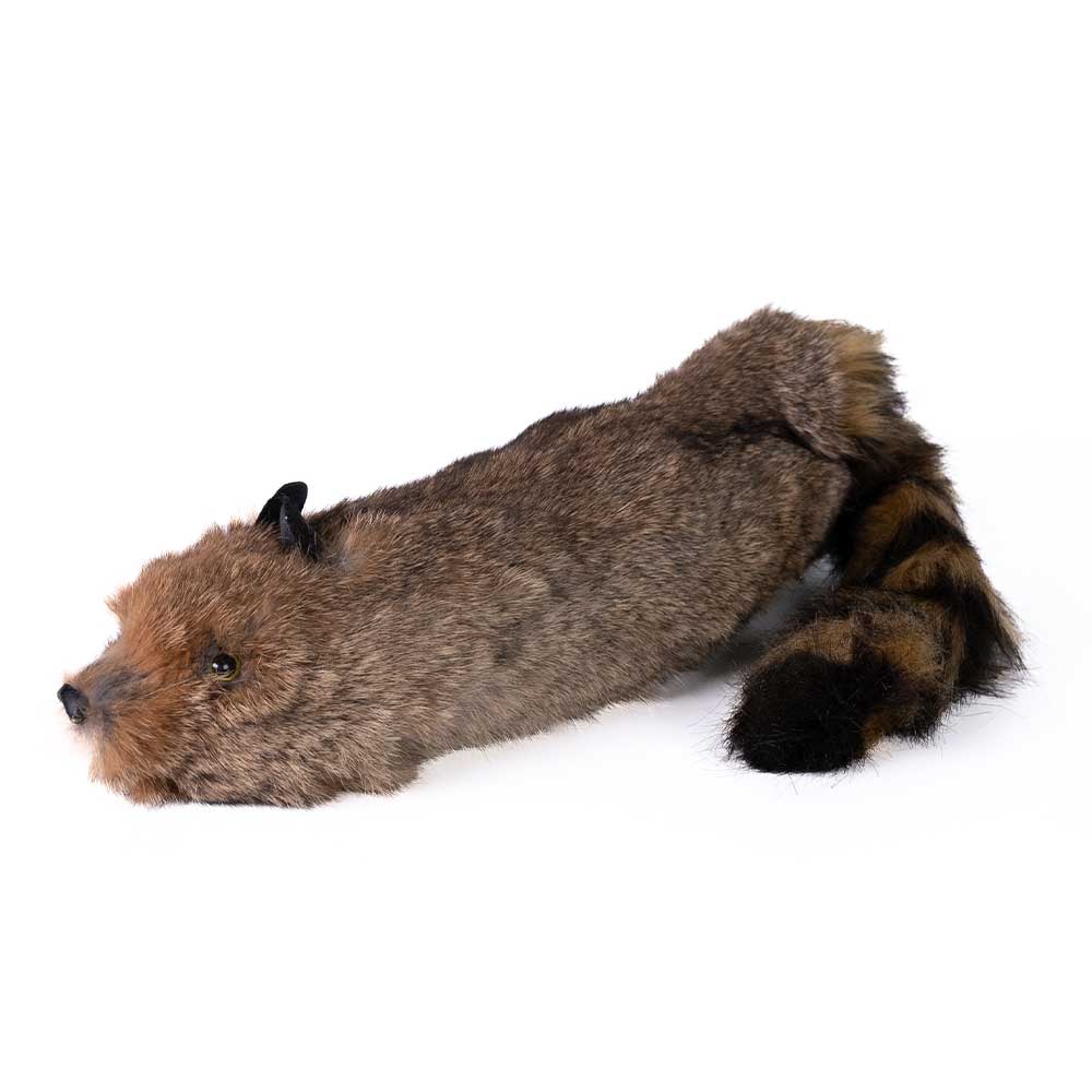 Playful Super Robbie Raccoon SuperFlex puppet with a mischievous grin, ready to scurry and dance, measuring 22.5 inches long.