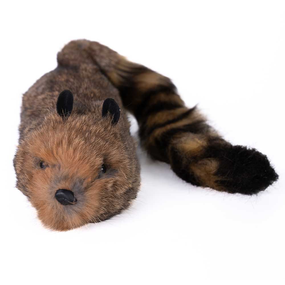 Super Robbie Raccoon SuperFlex