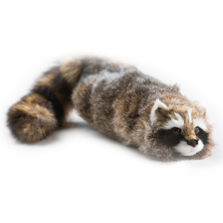 Charming Reality Raccoon spring animal toy with a lifelike face and bouncy design, perfect for magical performances.