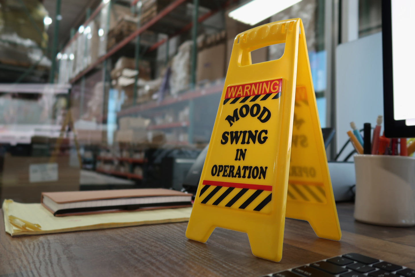 Mood Swing Warning Sign