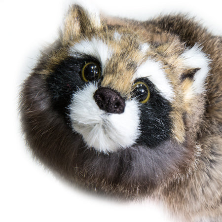 Charming Reality Raccoon spring animal toy with a lifelike face and coiled body, perfect for magical performances.