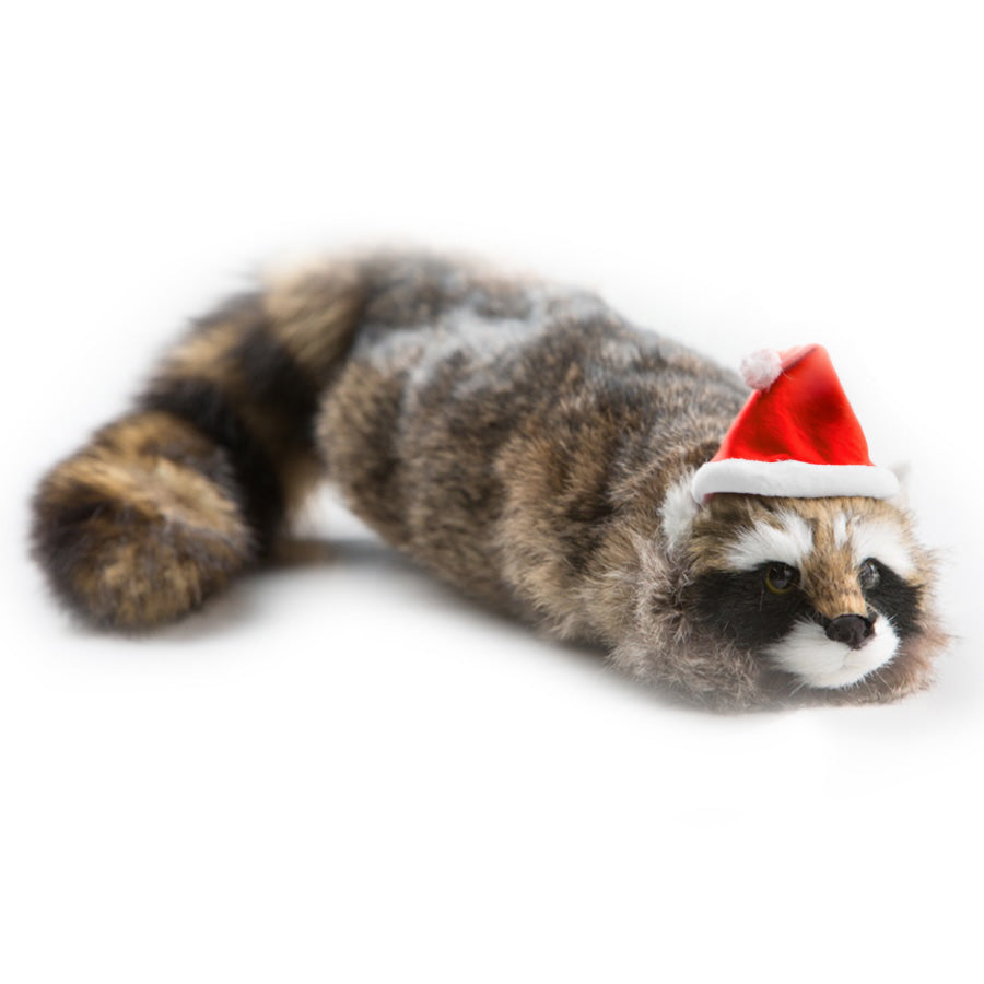 Charming Reality Raccoon spring animal with a lifelike face and dynamic spring body, perfect for magical performances.