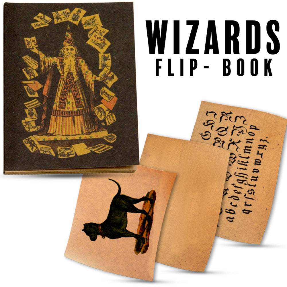 Explore the enchanting Wizard's Flip Book, a compact 5.5x3.5-inch magical treasure with 8 mesmerizing changing pages.