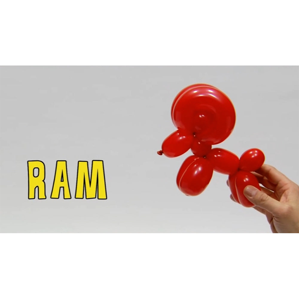 Ultimate Balloon Animals and More Training Course - Instant Download